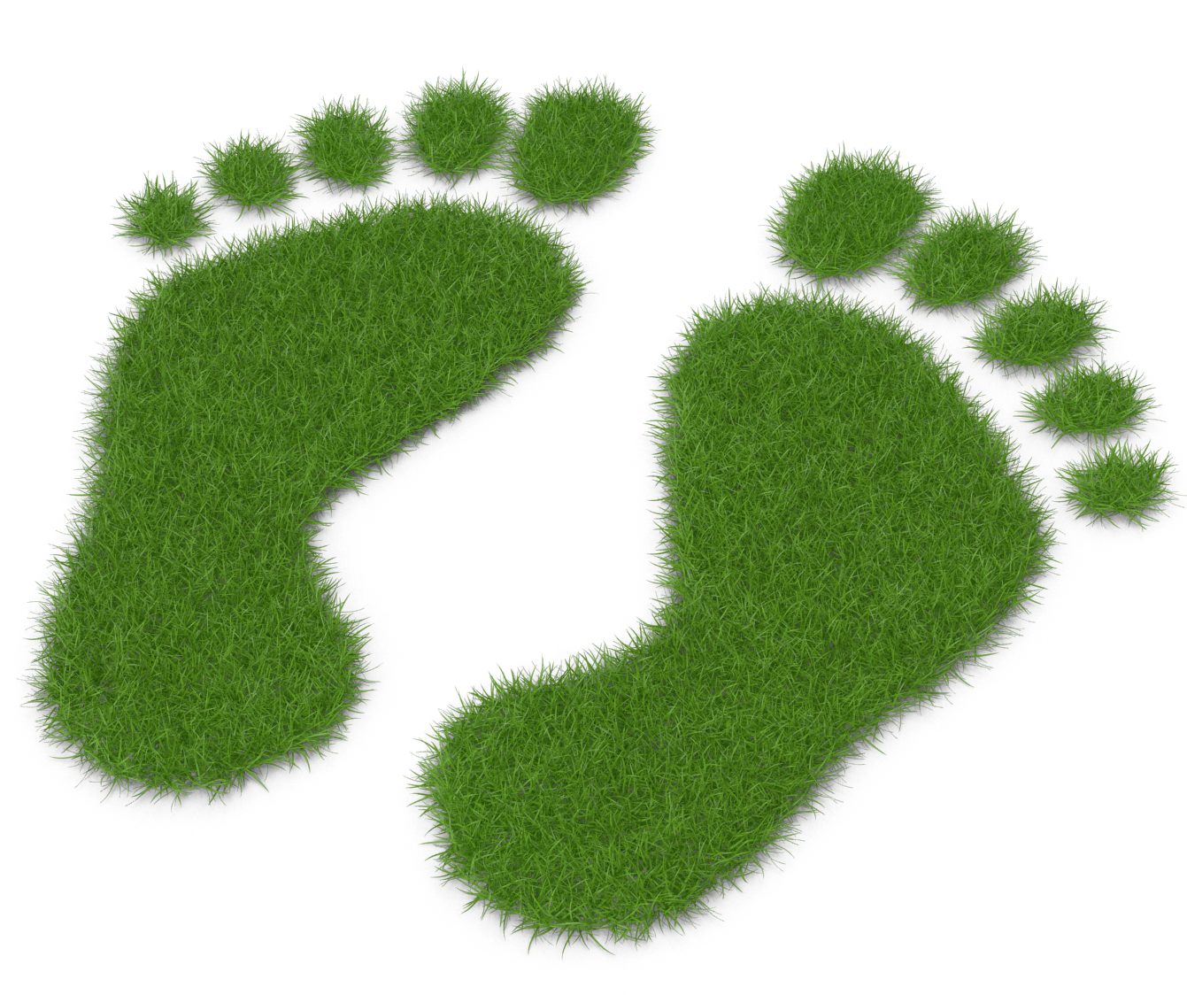 Grass Footprints-E02-2k