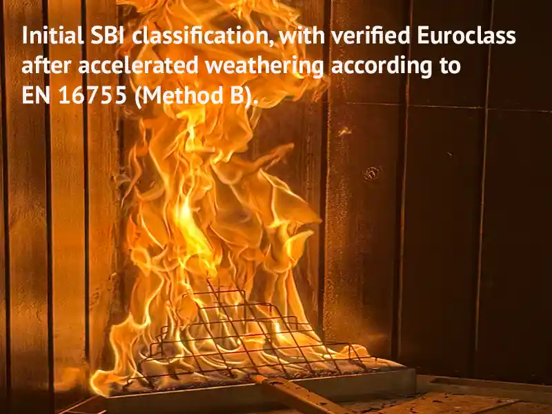SBI_EXT