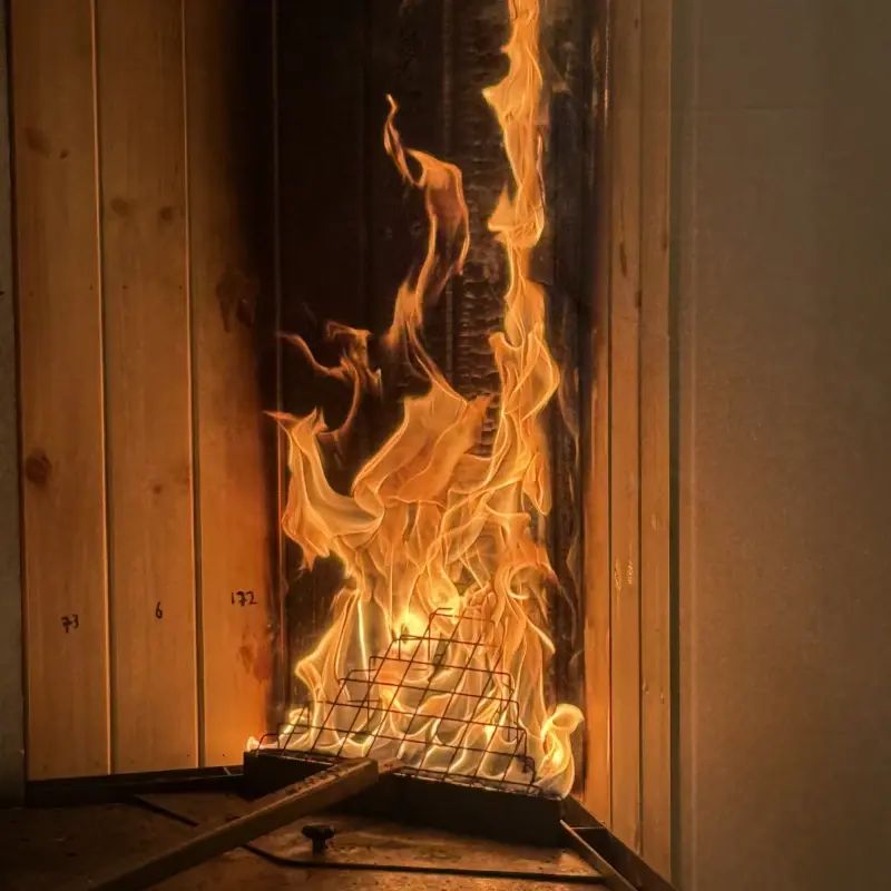 SBI_flame