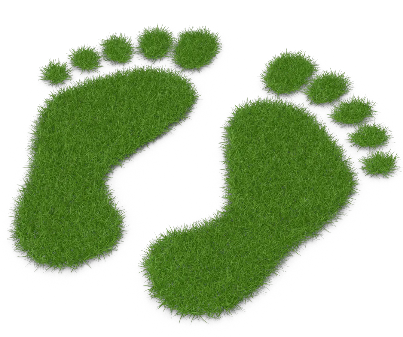 Grass Footprints-E02-2k