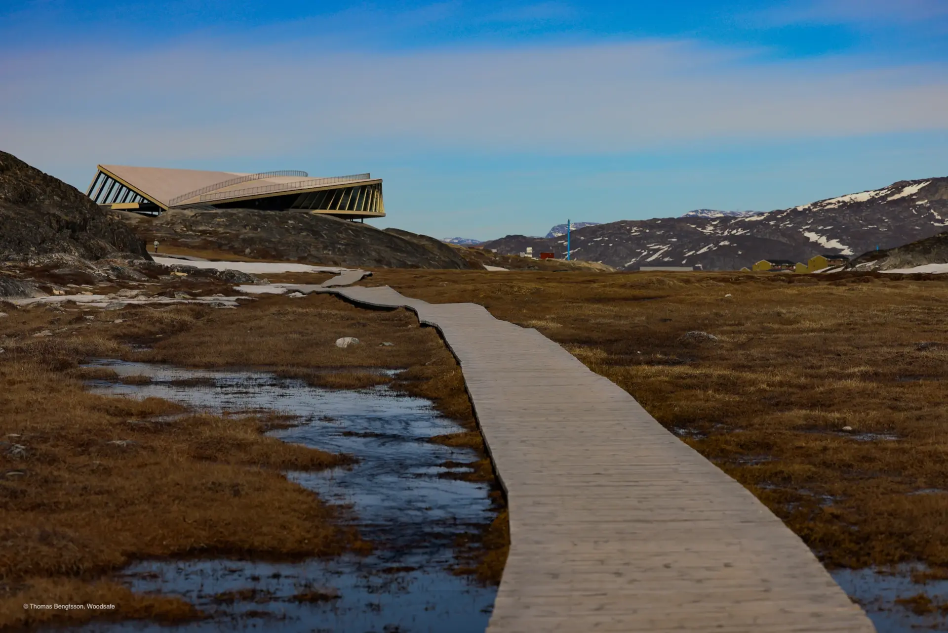 Icefjord center Woodsafe dark
